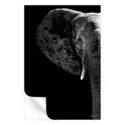Elephant Black Edition #3