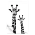 Giraffe and Baby White Edition #3