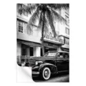 Miami Beach Classic Car #3