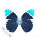 Miss Butterfly Hebomoia #3