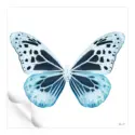 Miss Butterfly Melaneus #3