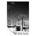 Palm Springs Midcentury Modern #3