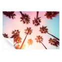 Beverly Hills Sunset Palms #3