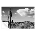 Saguaro Cactus Sunrise #3