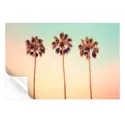 Iconic Palms #3