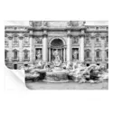 Trevi Fountain #3