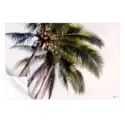 Tropical Palm Trees #3