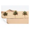 Desert Palm Trees #3