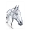 Horse #3