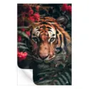 Jungle Cat #3