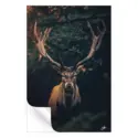 Moody Deer #3