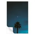 Midnight Moon #3