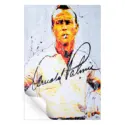 Arnold Palmer #3
