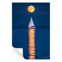 Navy Pier Reflections #3