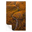 Autumn Drives #3