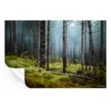 Wooded Escape #3