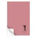 Pink Lady #3