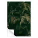 Palm Forest #3