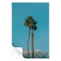 Oasis #3