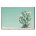Minimal cactus with pink flowers in a serene desert landscape against a turquoise sky.