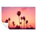 Palm trees against a vibrant pink, orange, and purple sunset sky with a distant city skyline.