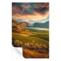 Vineyards in British Columbia, under a vibrant sunset with a lake and rolling hills.