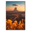 Sunset in Monument Valley, Arizona, with a butte, solitary cloud, and wildflowers in the foreground.