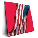 American flag displayed against a bold red background, creating a striking visual impact.