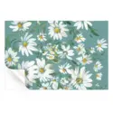 White daisies on a teal background, highlighting the simplicity and beauty of the flowers.
