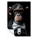 Chimpanzee #3