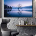 Big Wanaka TreeWall Art Huge Decor Prints