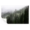 Misty Mountain Top #3