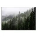 Misty Mountain Top #1