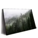 Misty Mountain Top #2