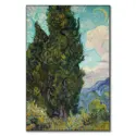 Cypresses #1