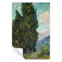 Cypresses #3