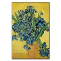 Vase With Irises #1