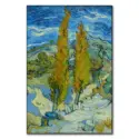 Two Poplars in the Alpilles near Saint-Rémy #1
