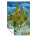 Two Poplars in the Alpilles near Saint-Rémy #3