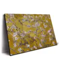 Almond Blossom #2