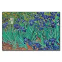 Field of Irises #1