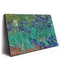 Field of Irises #2