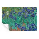 Field of Irises #3