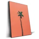 Waikiki #2