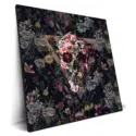 New Skull #2