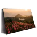 Wildflower Island #2