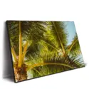 Hawaii Palm #2
