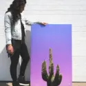 Cactus #4