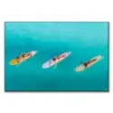 Surf Club #1