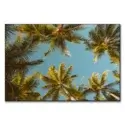Palm Party #1